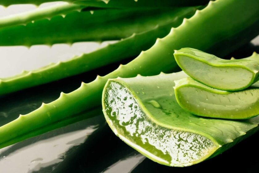 Aloe Vera pour maigrir du ventre