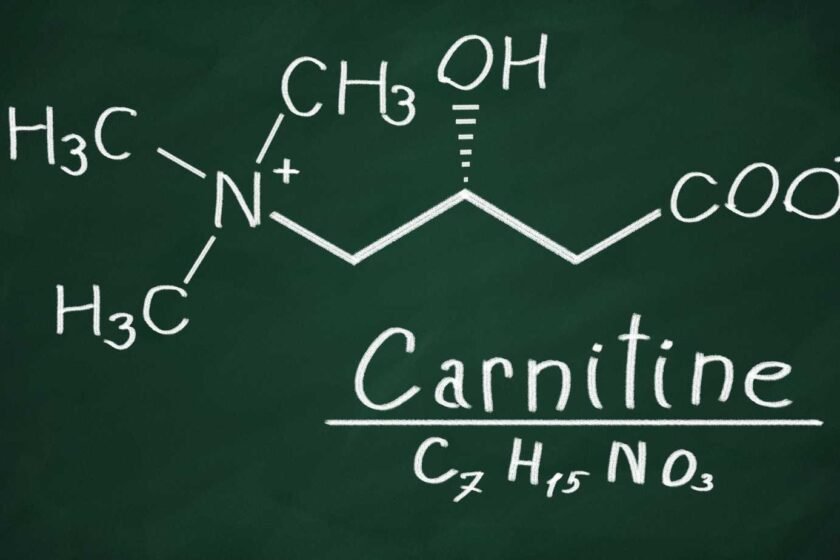 L-Carnitine dosage Pour Maigrir